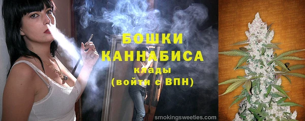 индика Майский