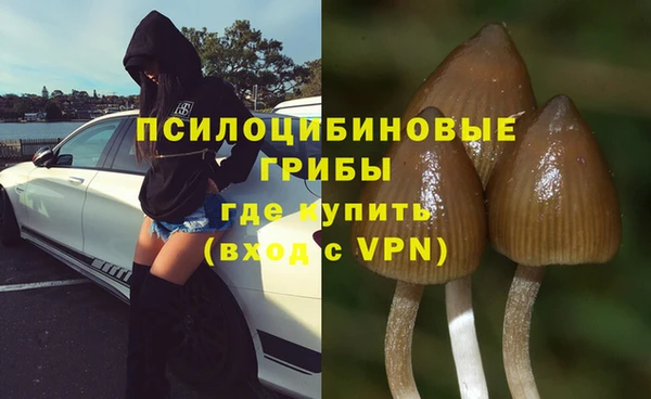 индика Майский
