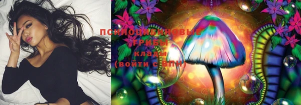 индика Майский