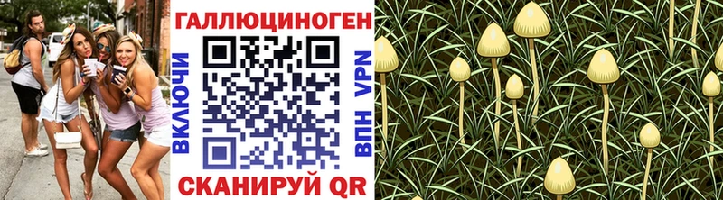 наркошоп  Альметьевск  Галлюциногенные грибы GOLDEN TEACHER 