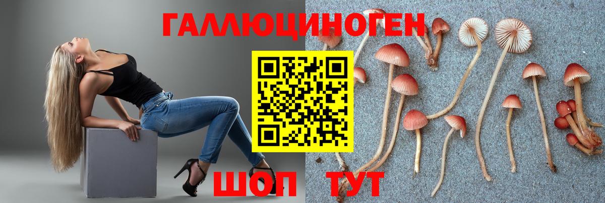 Псилоцибиновые грибы мицелий  Вход с VPN  Альметьевск  Галлюциногенные грибы ЛСД 