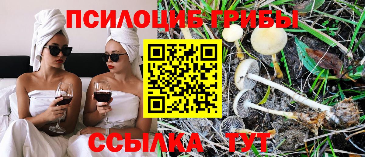 Псилоцибиновые грибы MAGIC MUSHROOMS Альметьевск